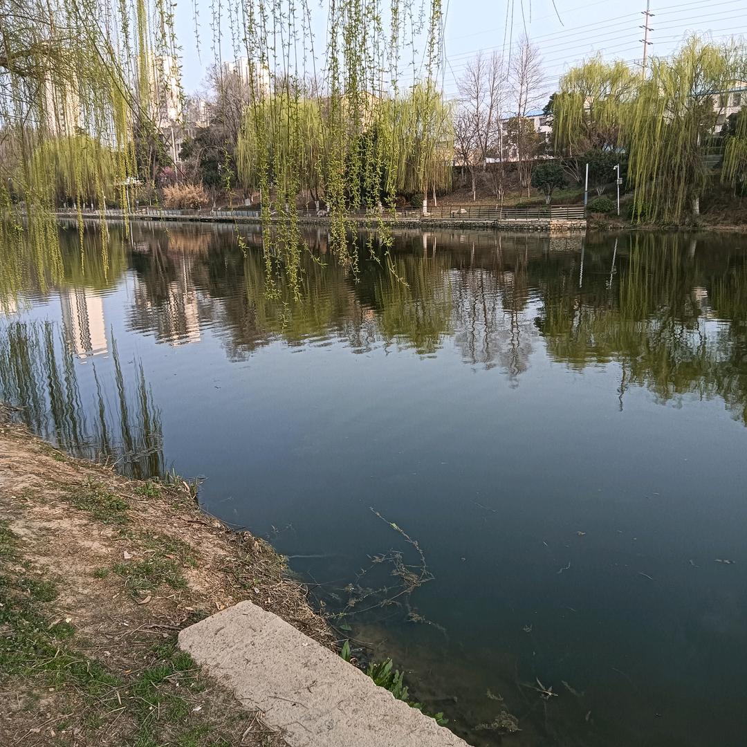 暖栀-直播回放