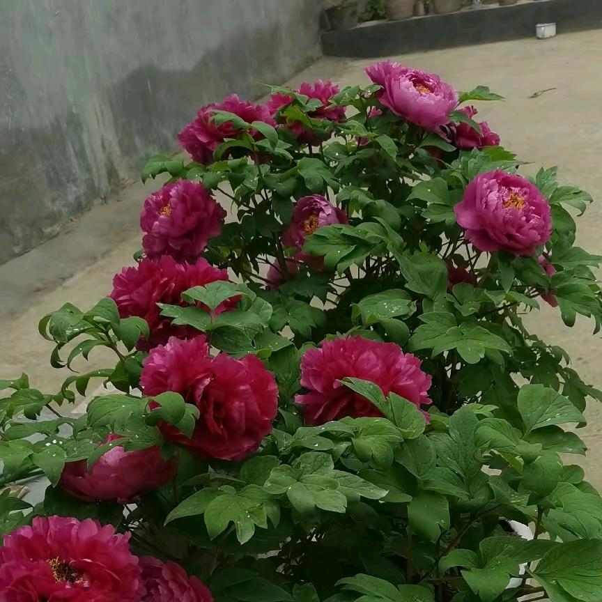 秋风微凉