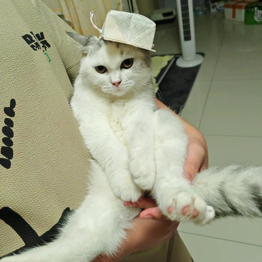 小王