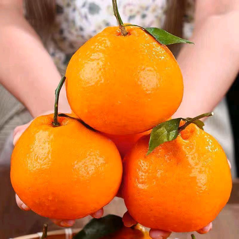 绿果甜源生鲜果蔬