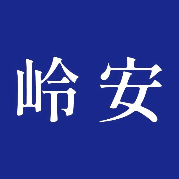 岭安AI科技