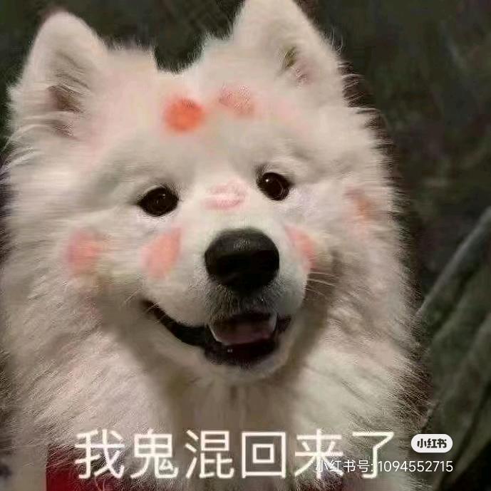 余桉安安安