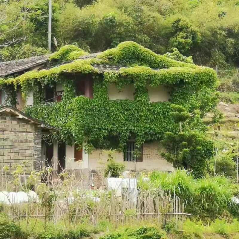 酷奇超酷轻奢鞋