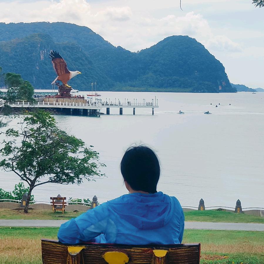 半醒  清欢