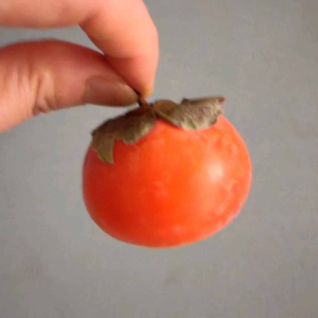 浮尘