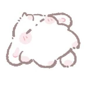 不知名木本植物