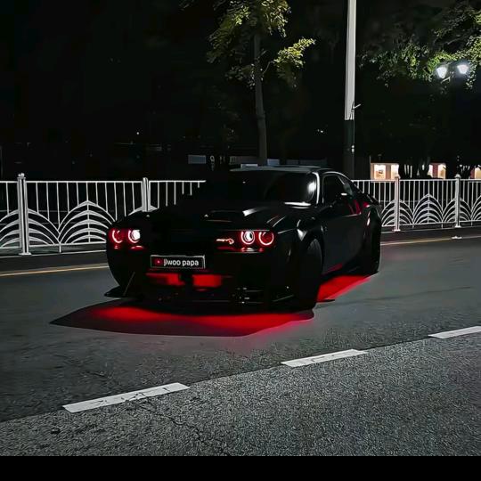 🚦ོ      💱     ོ🚦