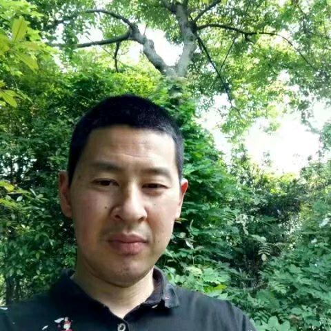 王国云天楊树坑然土蜂蜜野生绿茶