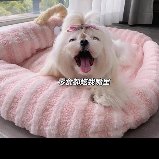春妹