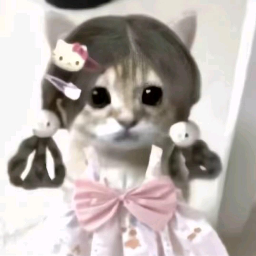 冬花🌸