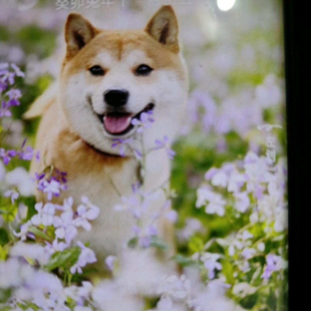伤心泪