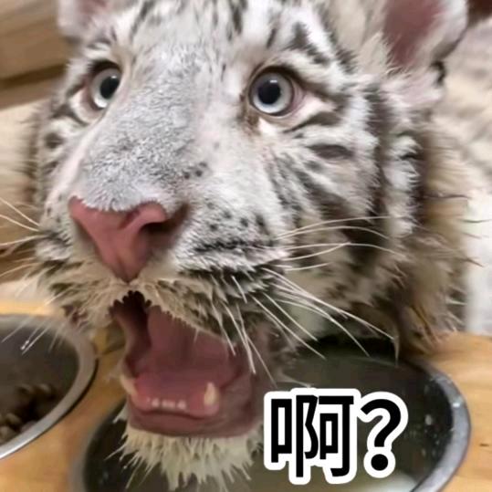 我就是百万（唯有佳怡）