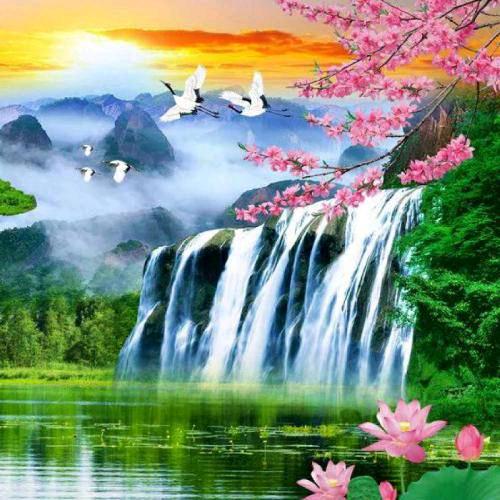 花好月圆