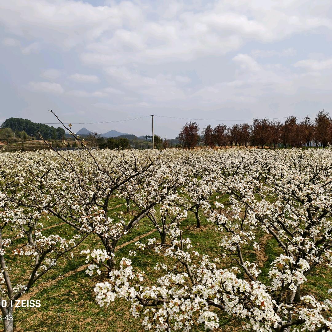 兄弟果园欢迎你