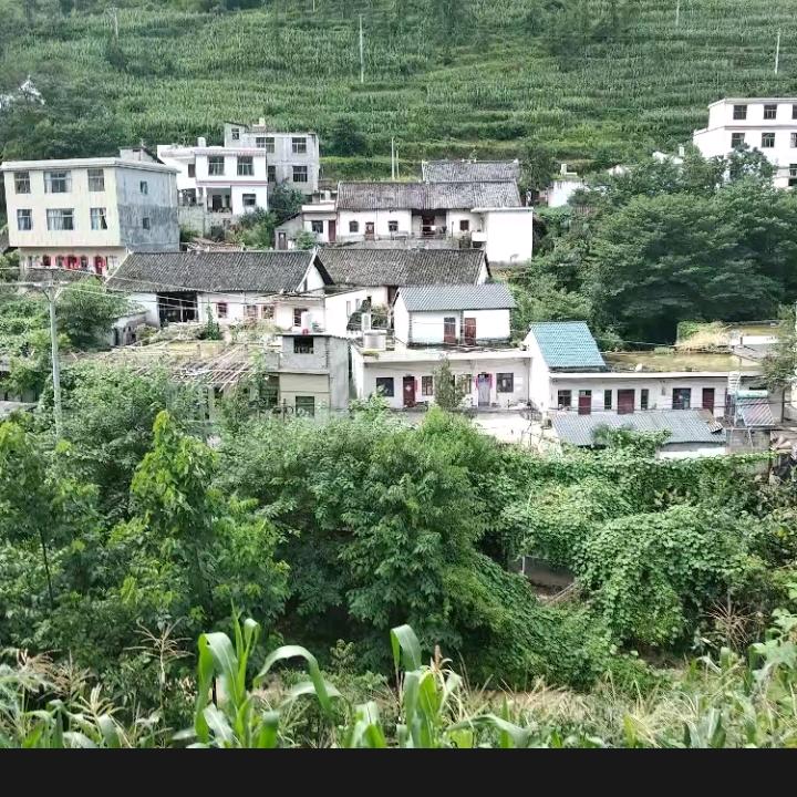 平安是福