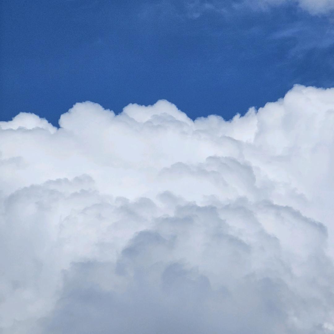 疯中有朵雨做的晕
