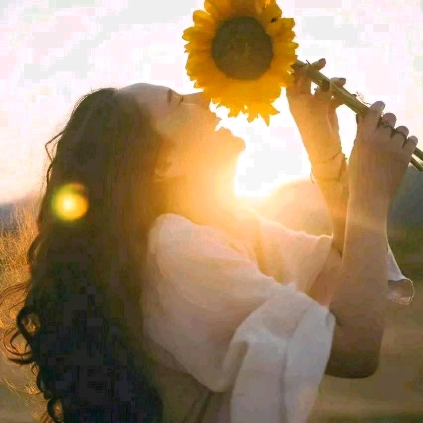 💫设计者兔小柒 .