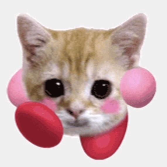 不爱喝咖啡版💥