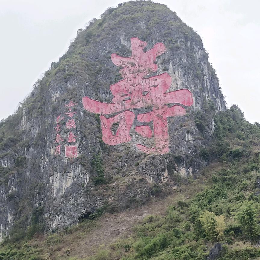 过程