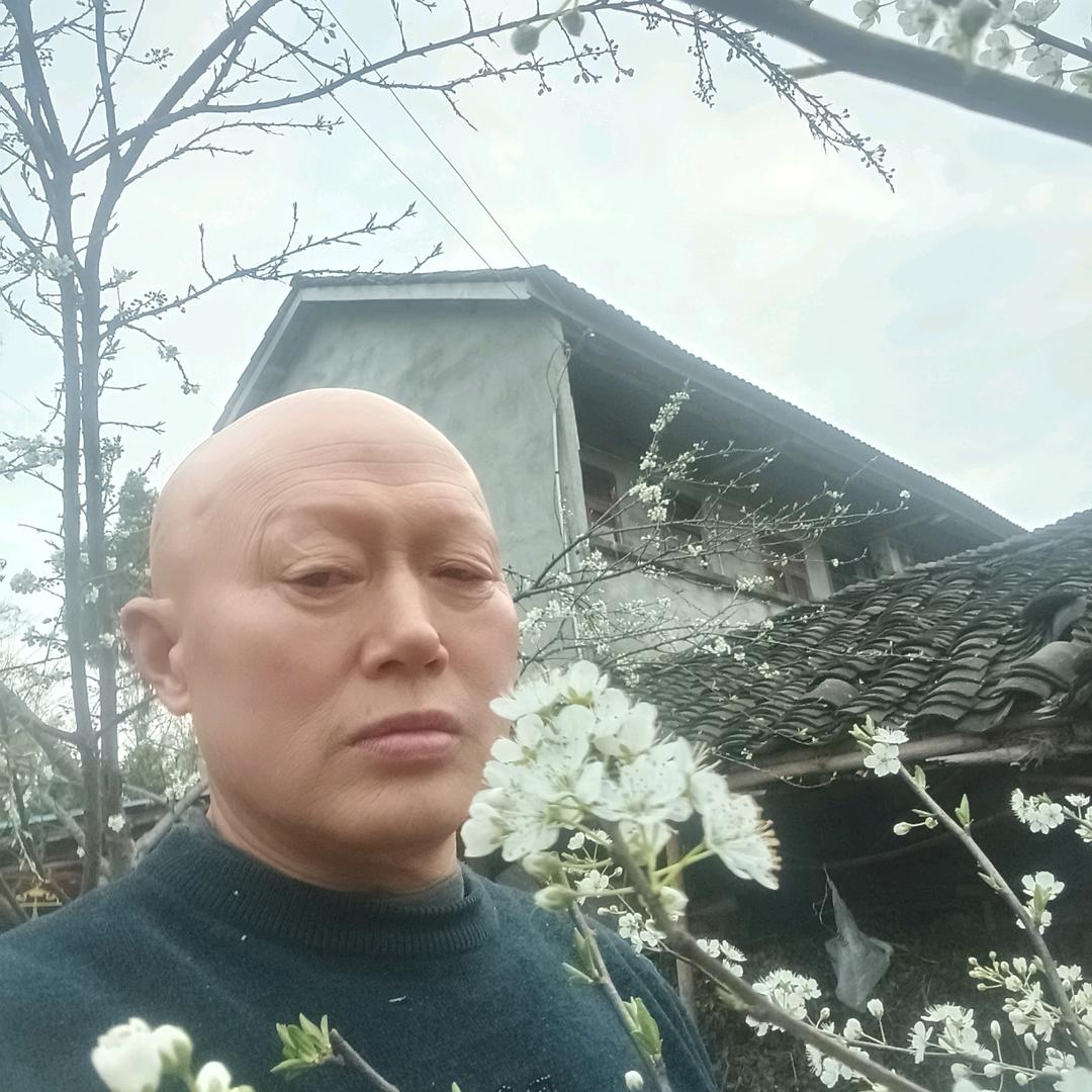 光头强凉面