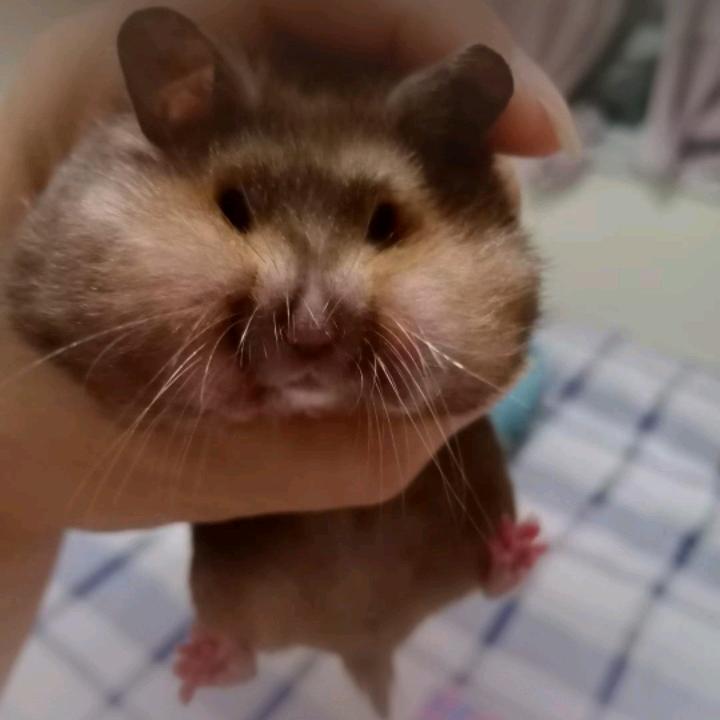 心冷致命头像