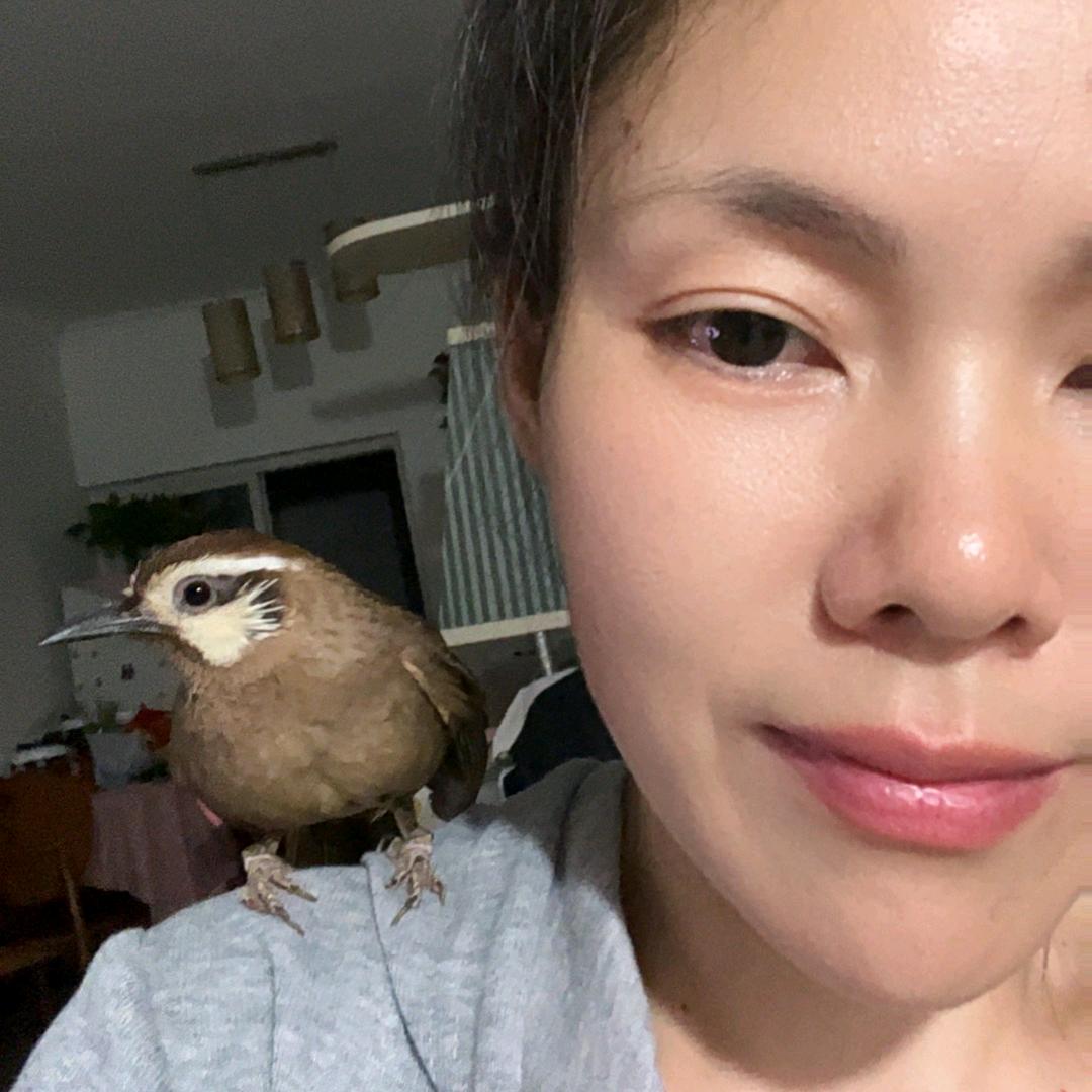 馨儿🌹