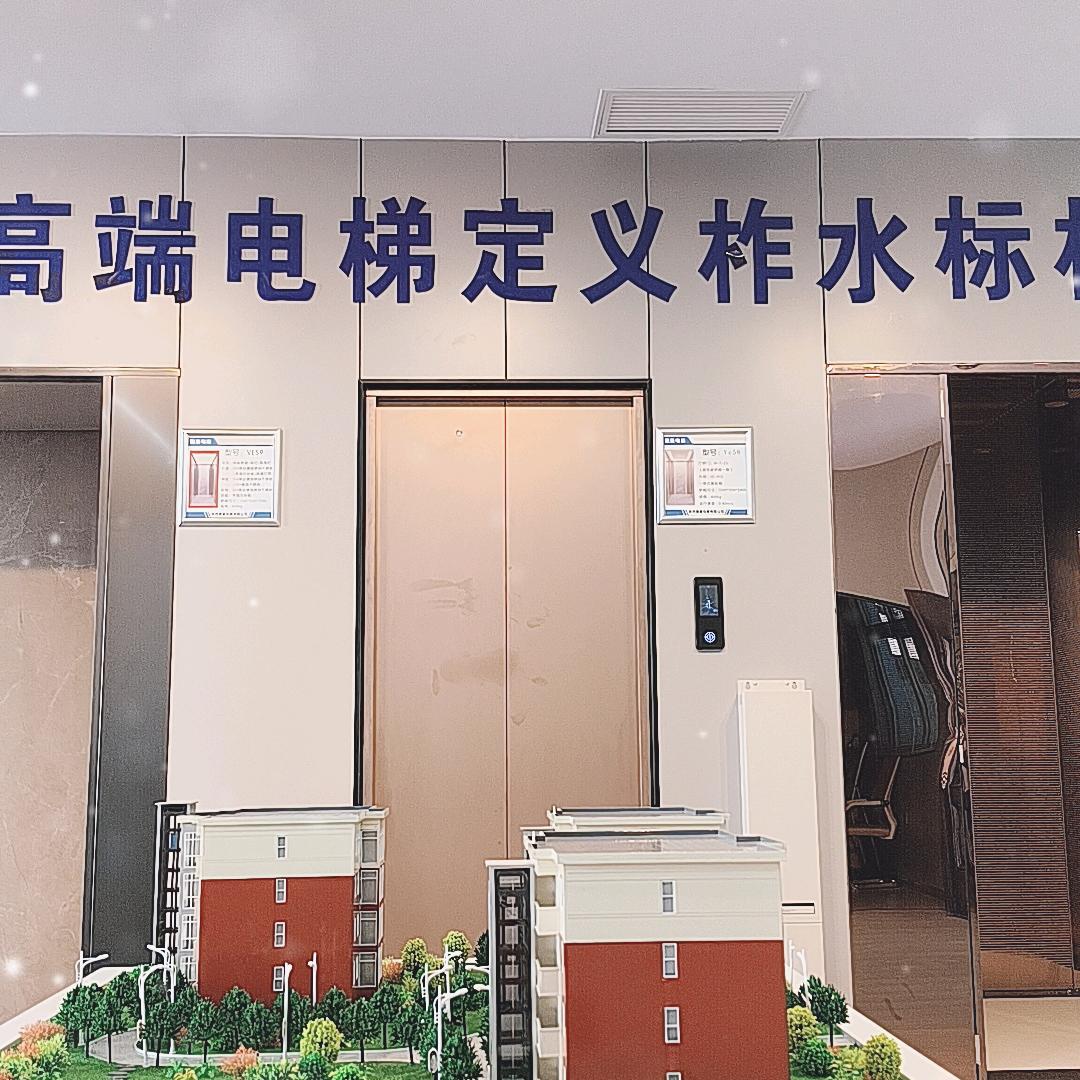 陕西德曼电梯有限公司