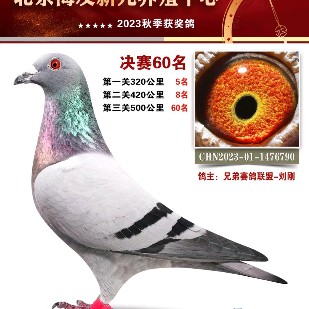 刚刚来了