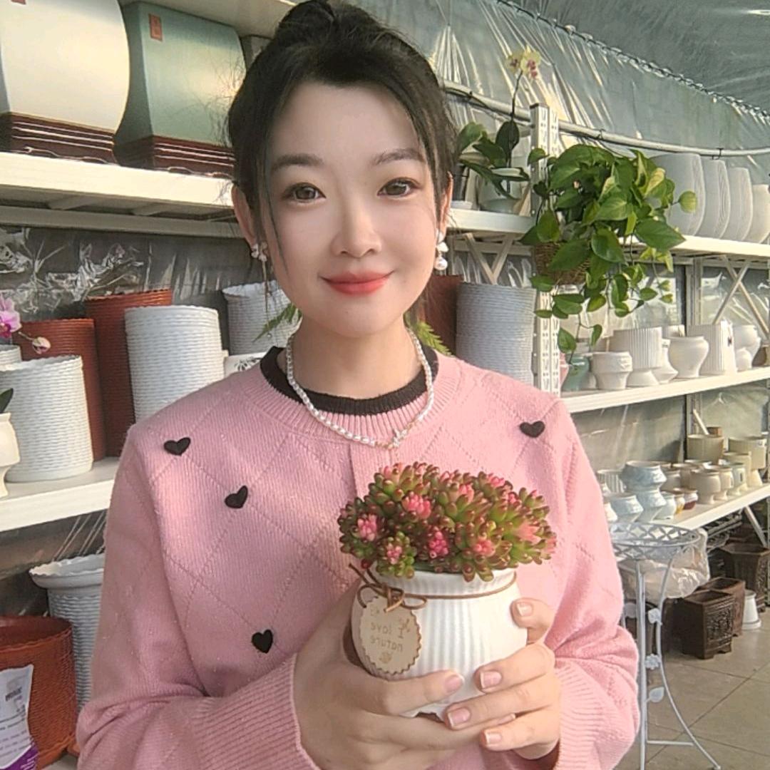 太原小森林花卉小时达