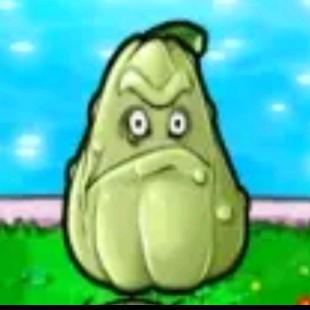 聪明の窝瓜