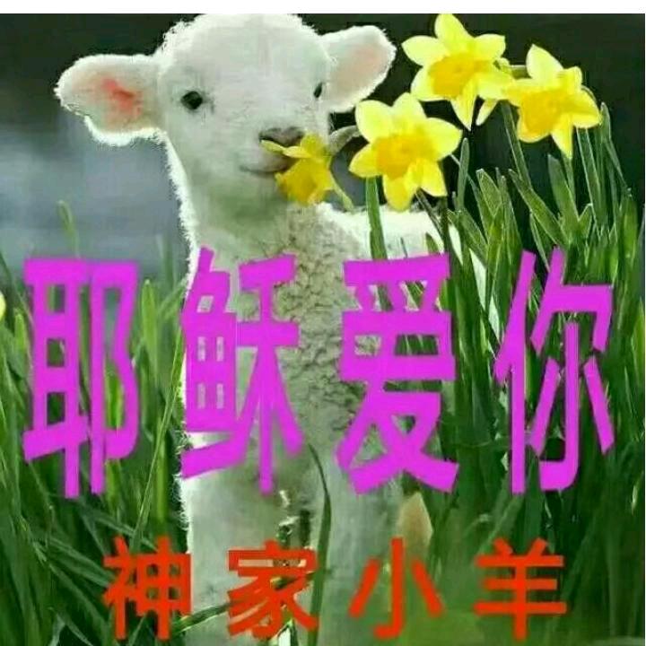 越来越好，赶快好起来