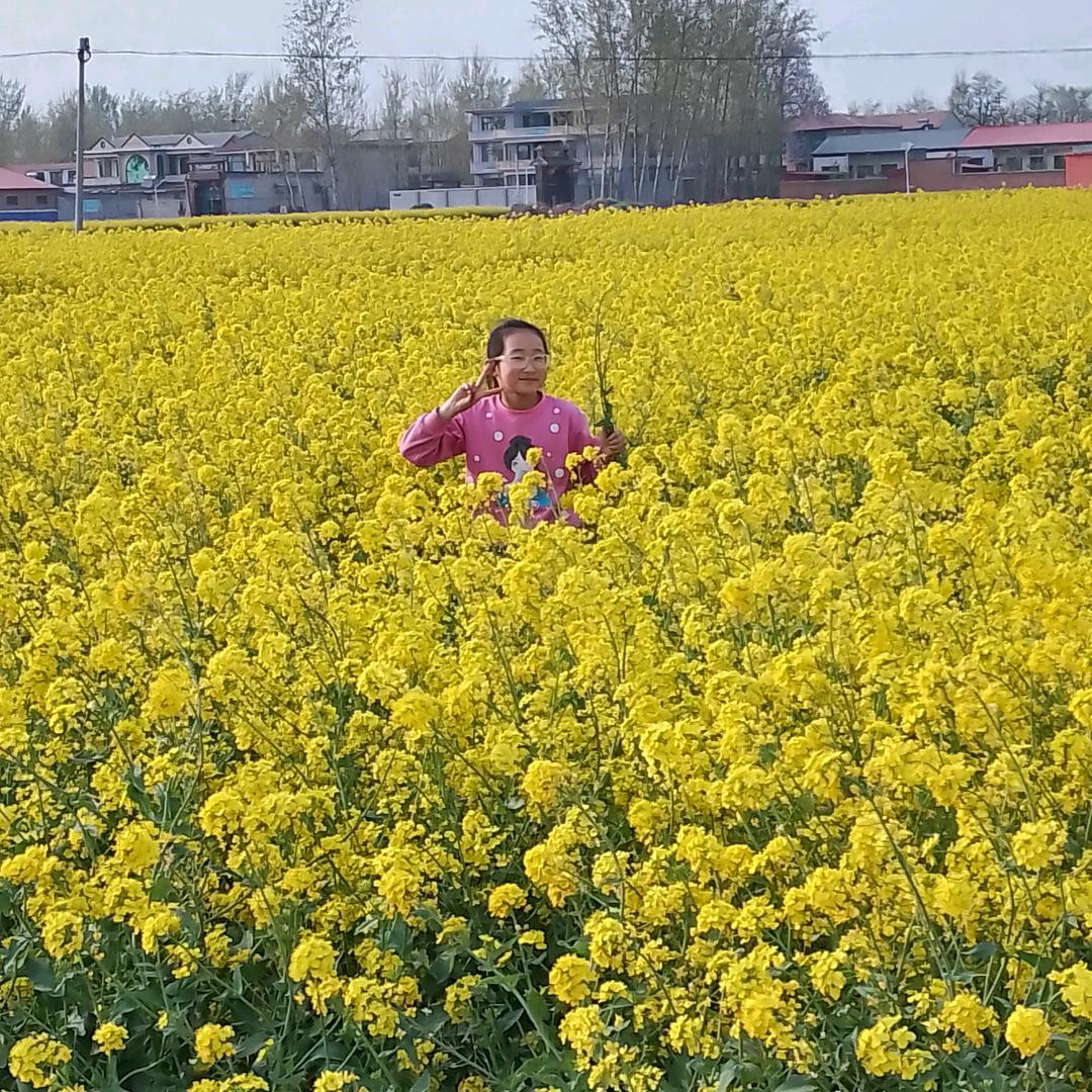 懂得都懂