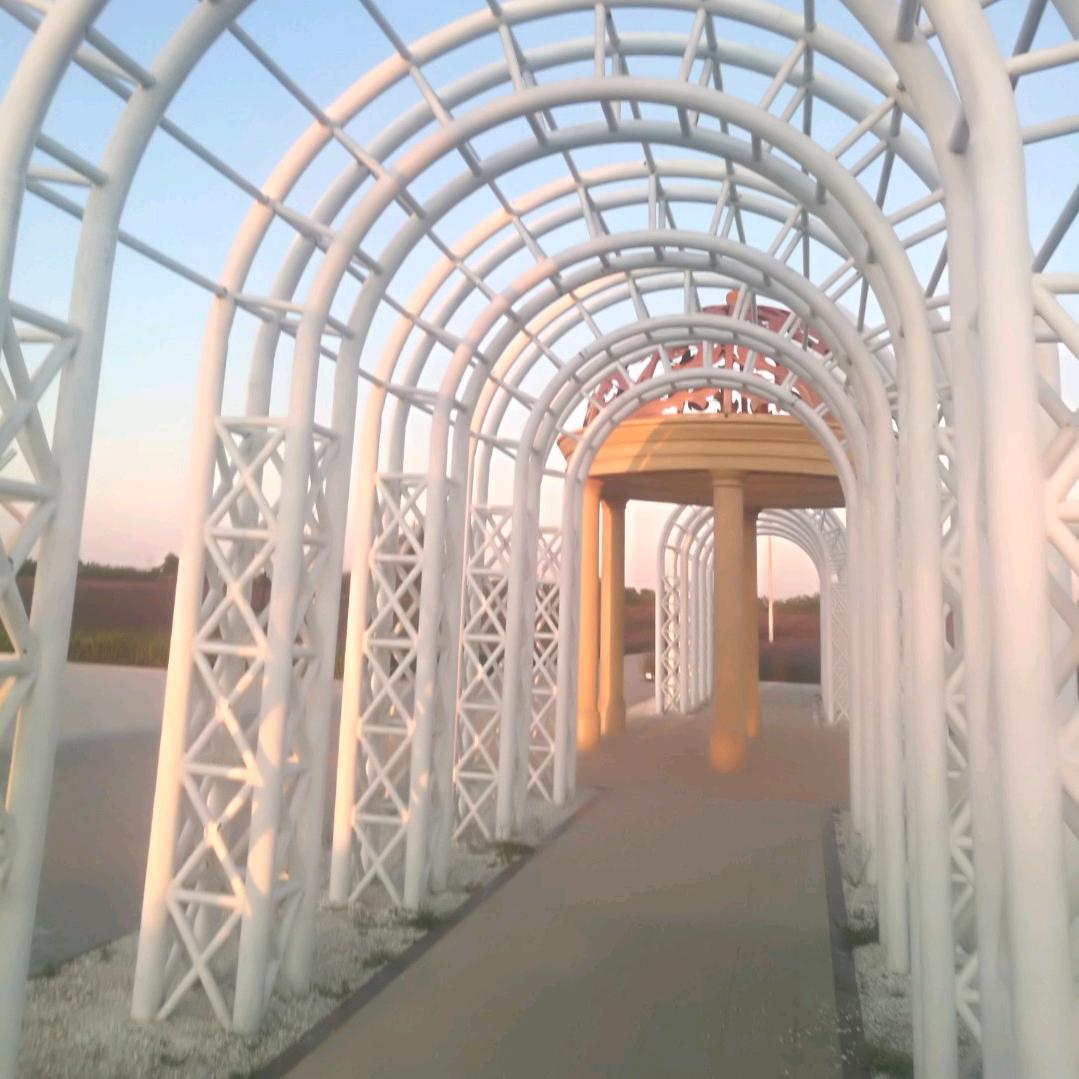 【星光不问赶路人】