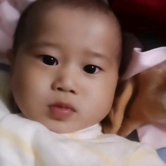 家和万事兴🌹🌹🌹🌹