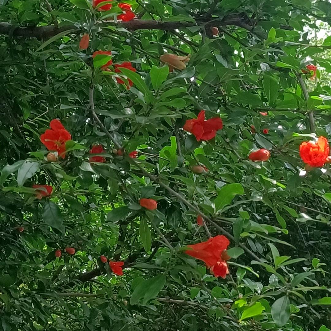࿐ཉི༗࿆似水年华༗࿆ཉ