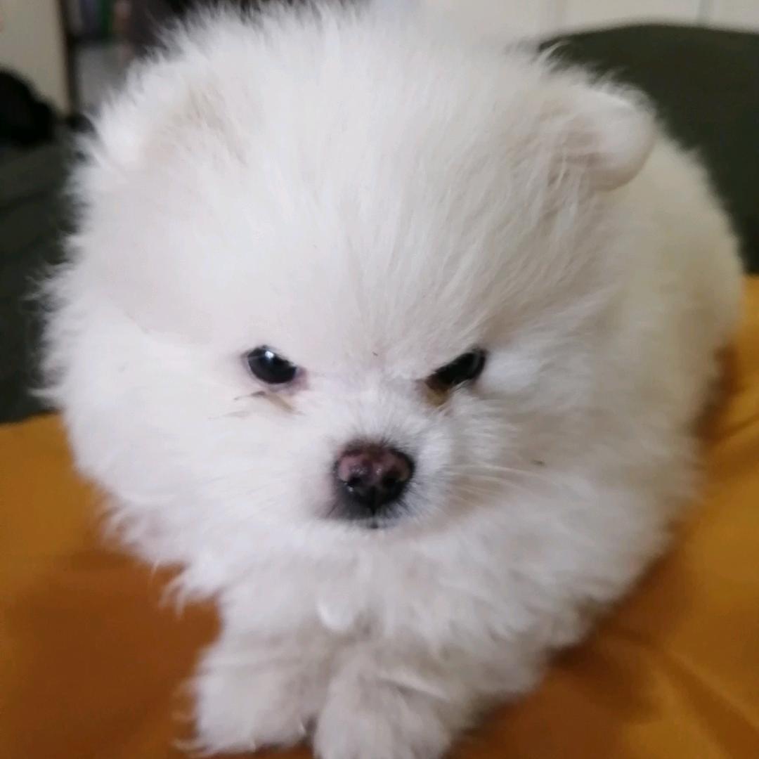 中牟家政（深度保洁整理刘姐）（招徒弟）