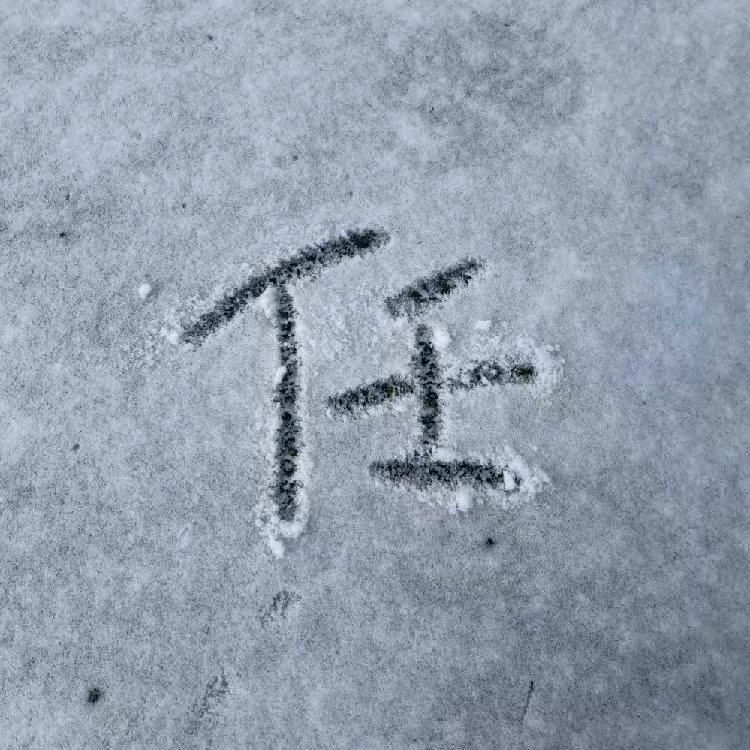 柠檬 柚子
