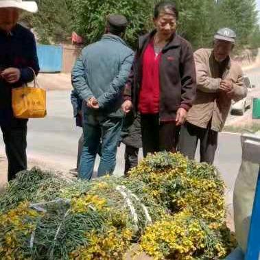 杭容宇感谢你1997