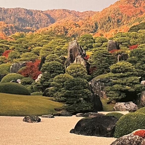 恩泽园林景观