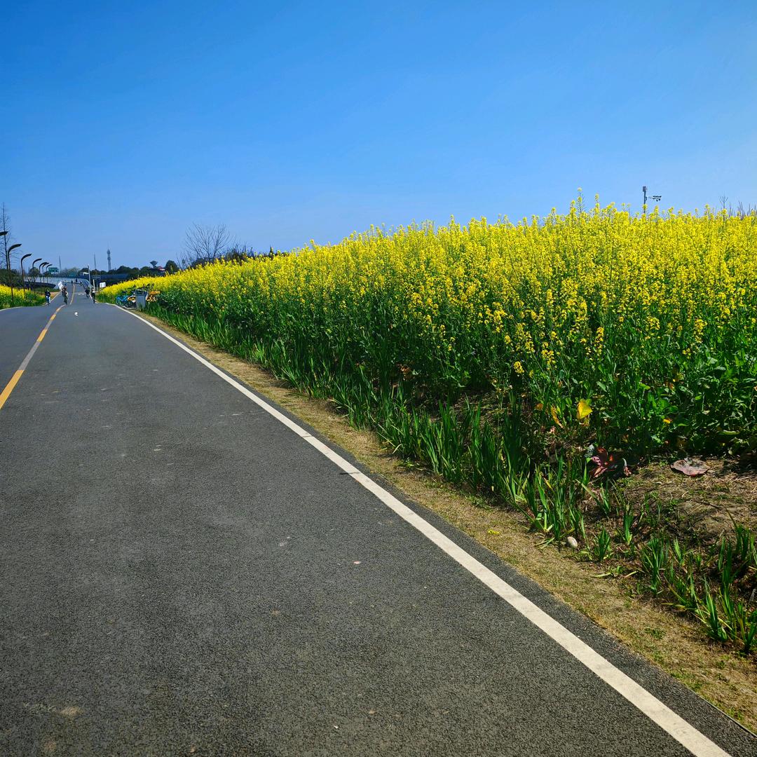 車車