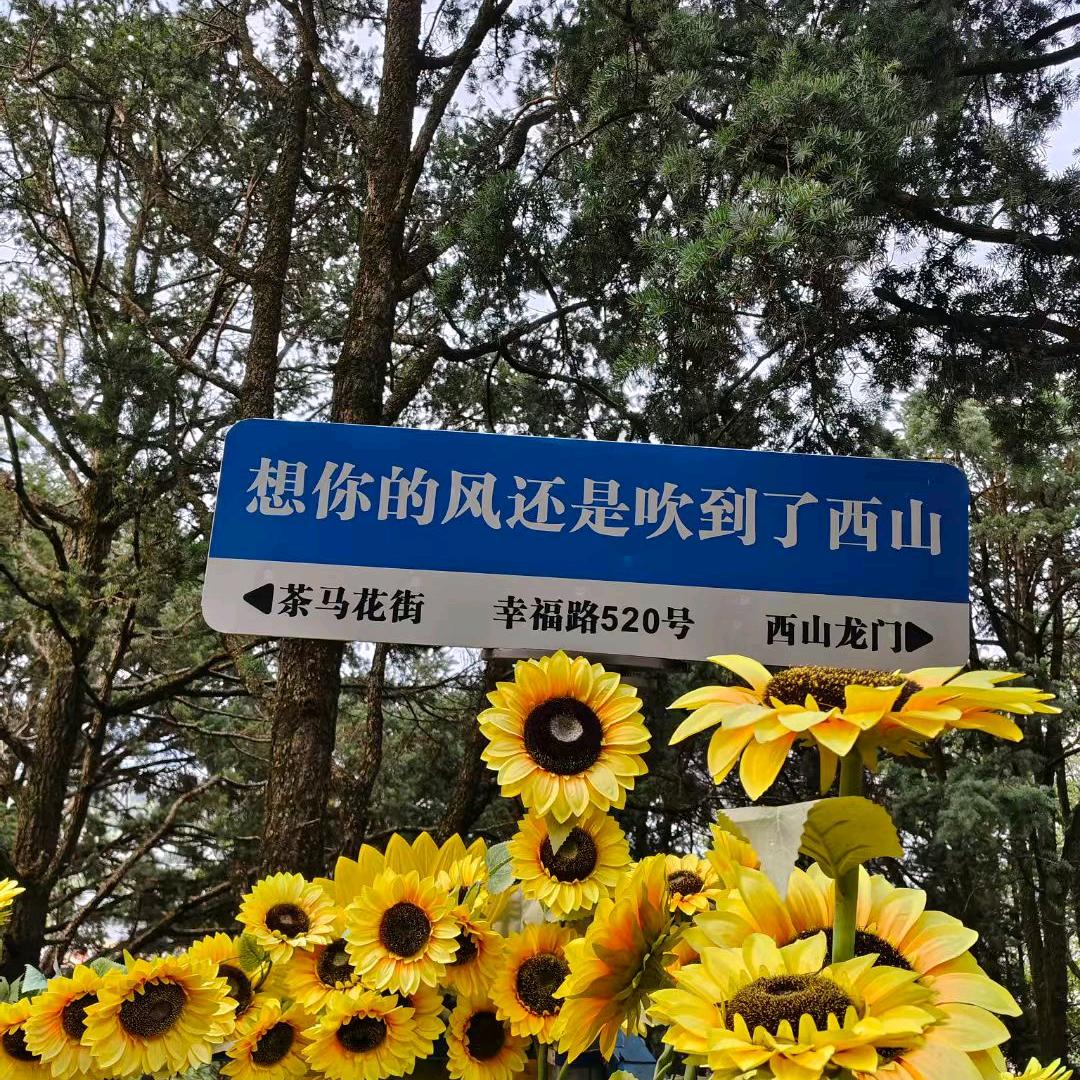 可乐