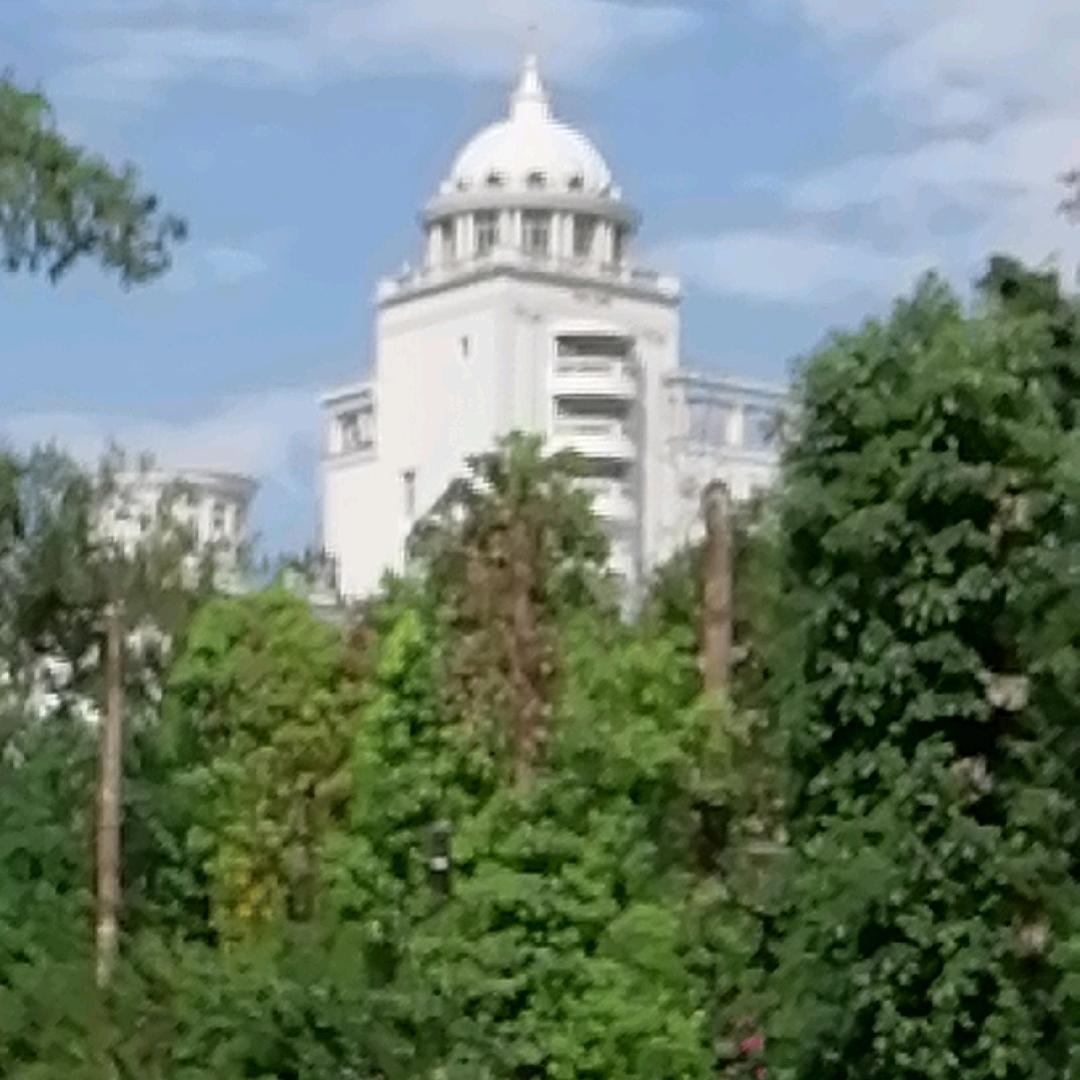 老鹰🦅《承蒙厚爱》