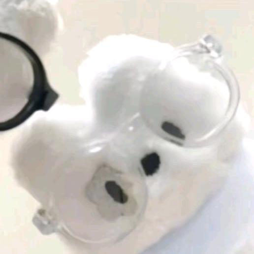 屿琦
