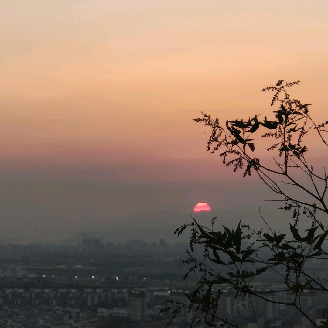 squad-蟹黄堡专送员