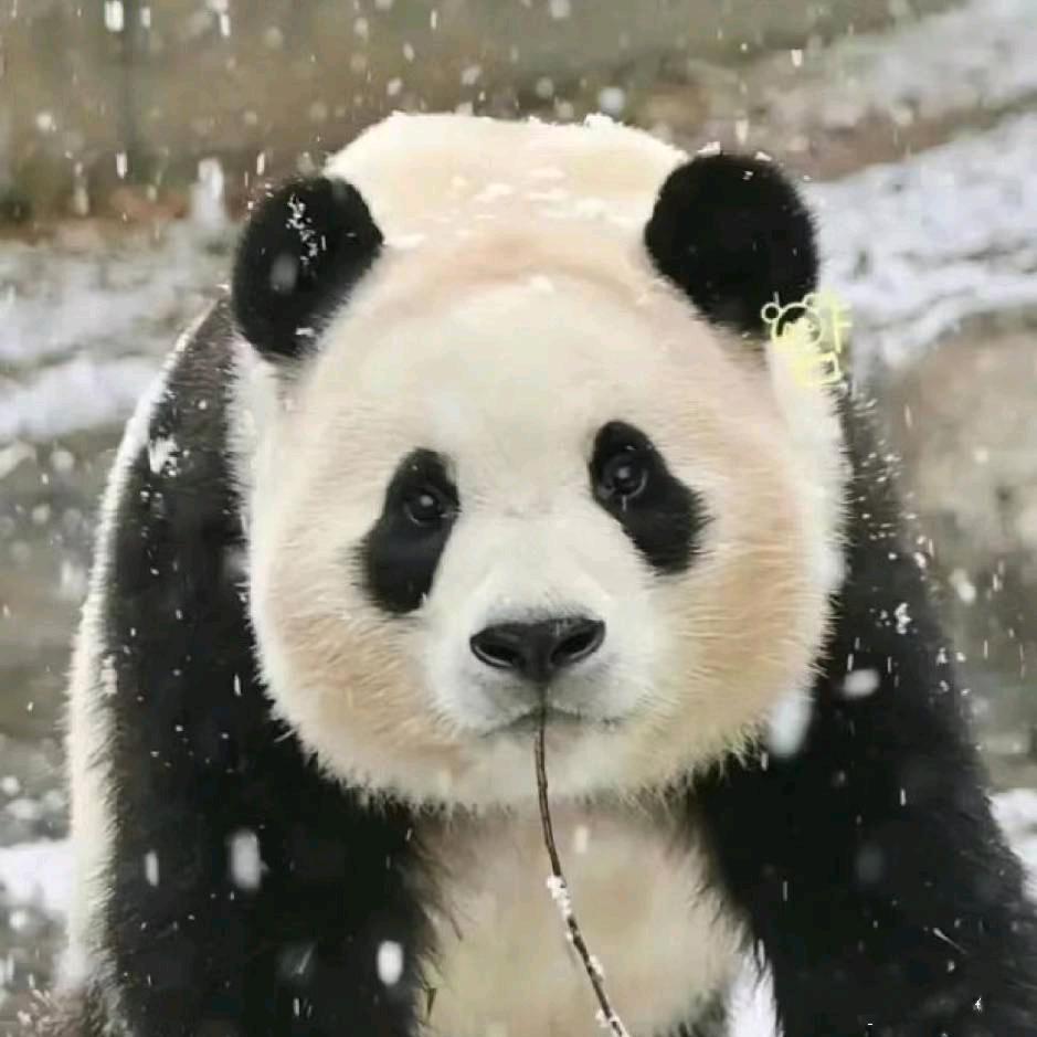 刘中华