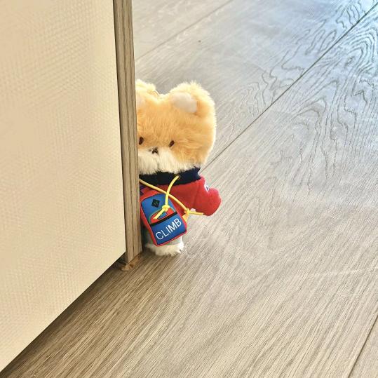 🌈财神爷的心尖宠💰钱从四面八方来