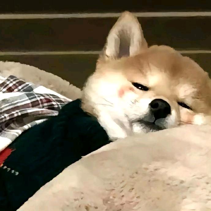 薯条大王头像