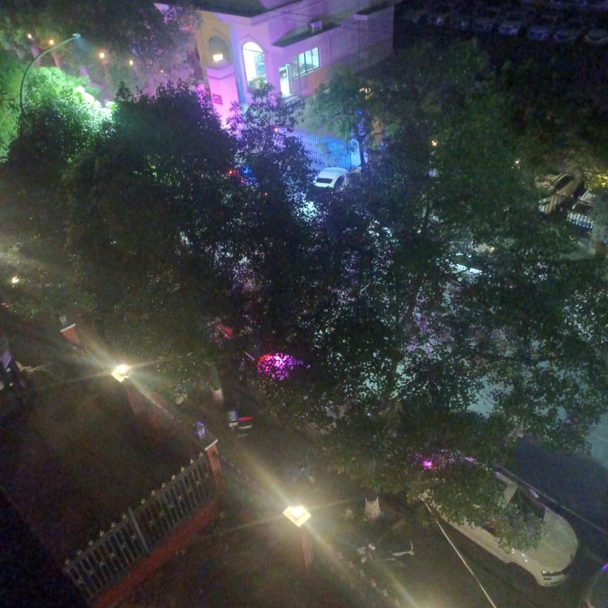 用认识户3387023979765