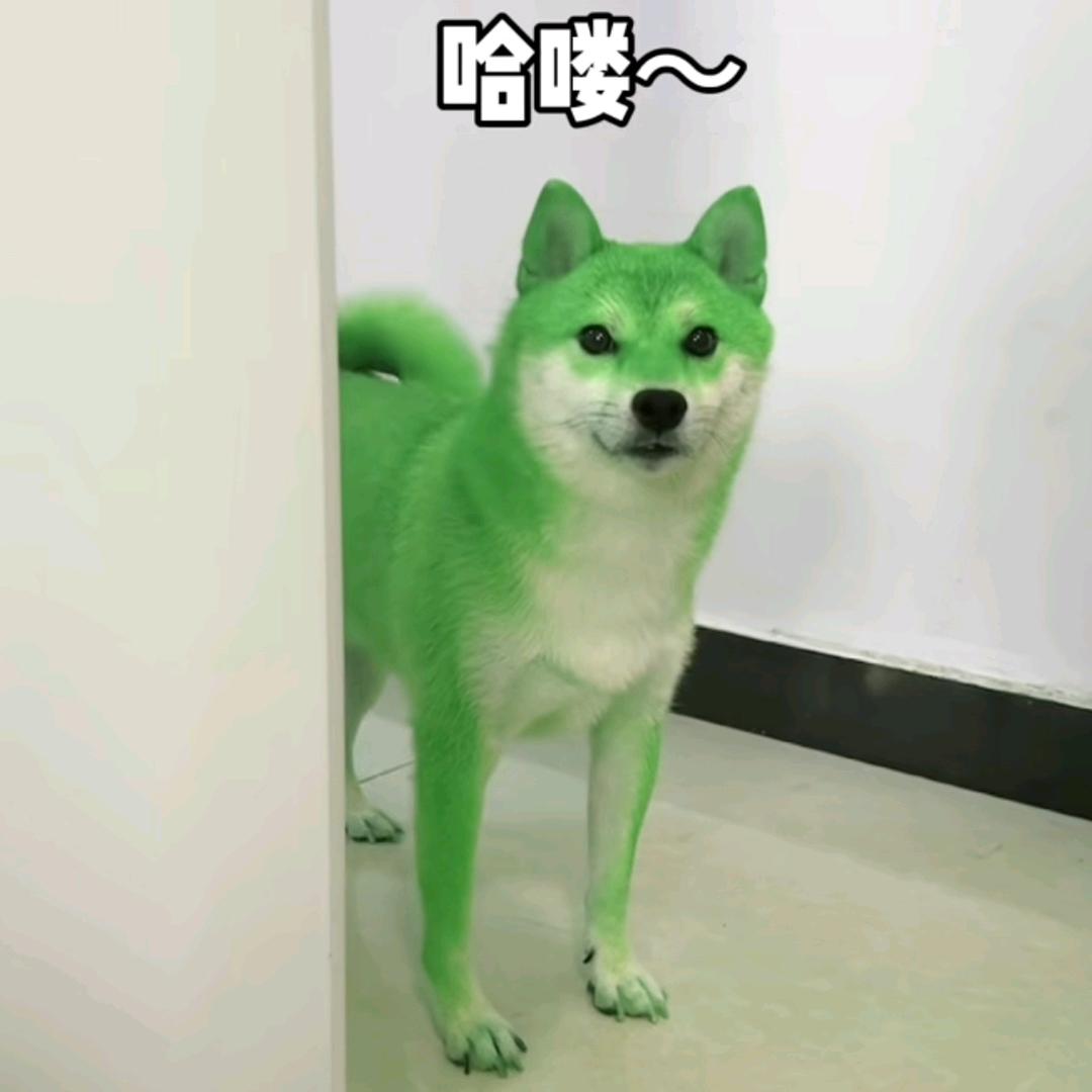 游兰