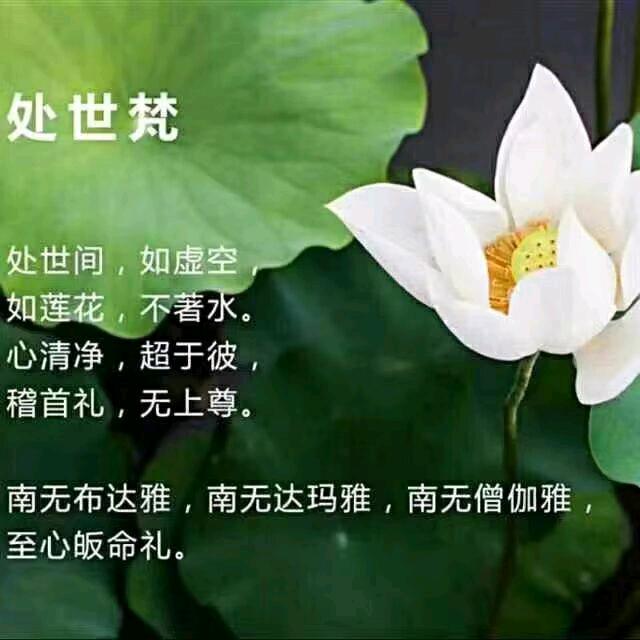 心以